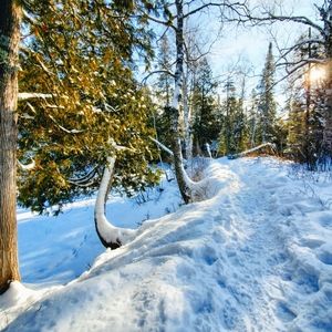 Women's Clothing & Shoes